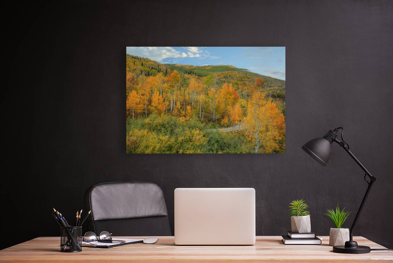 Autumn Path Reproduction