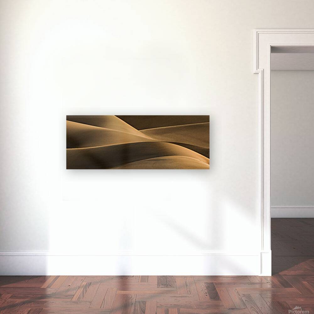 Sand Dunes Reproduction