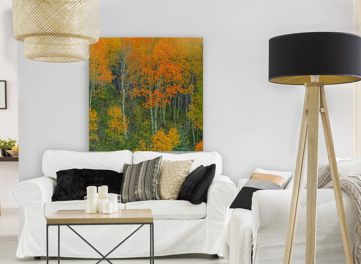 ABOUNDING COLOR  Reproduction