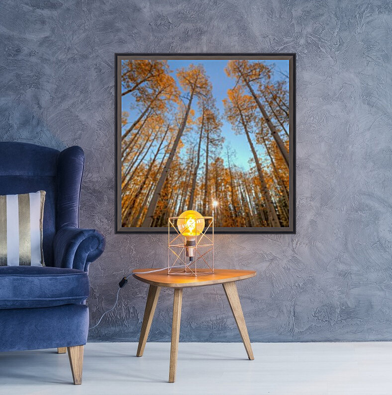 AUTUMN STARSHINE Reproduction