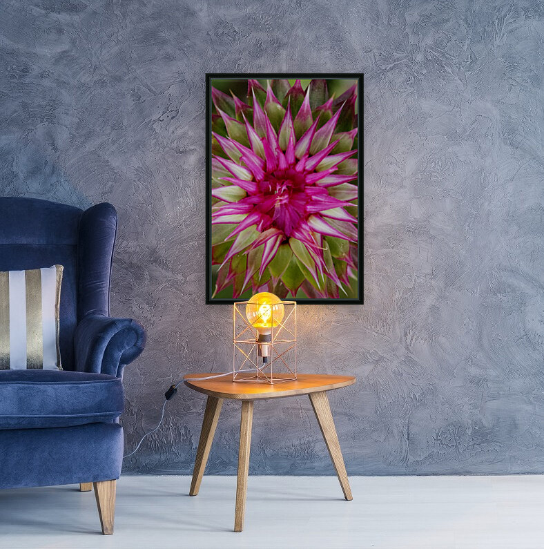 STARBURST Reproduction