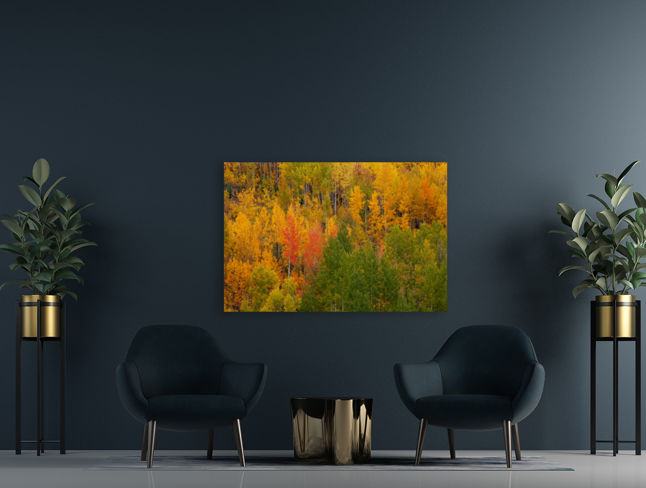 AUTUMN CONTRAST Reproduction