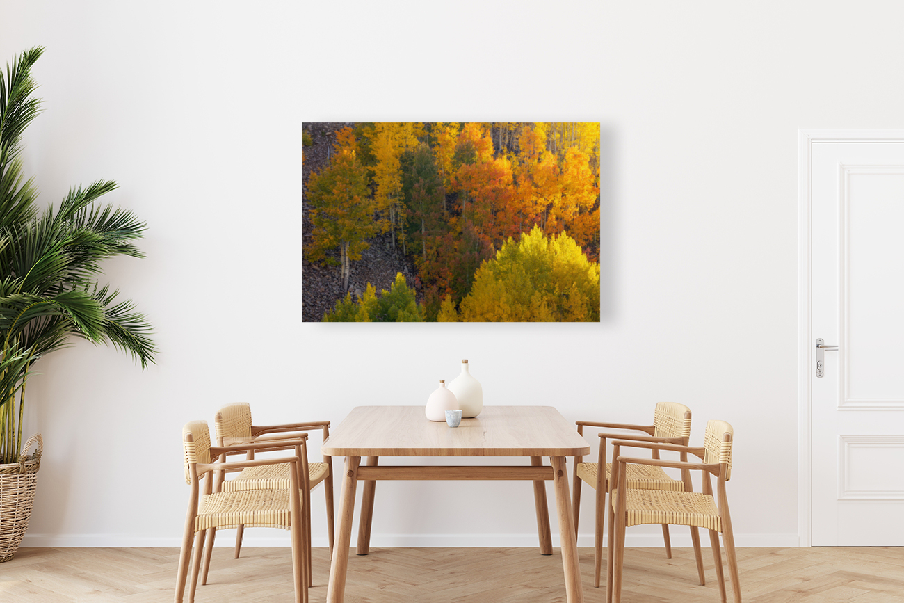 AUTUMN HIGHLIGHTS Reproduction