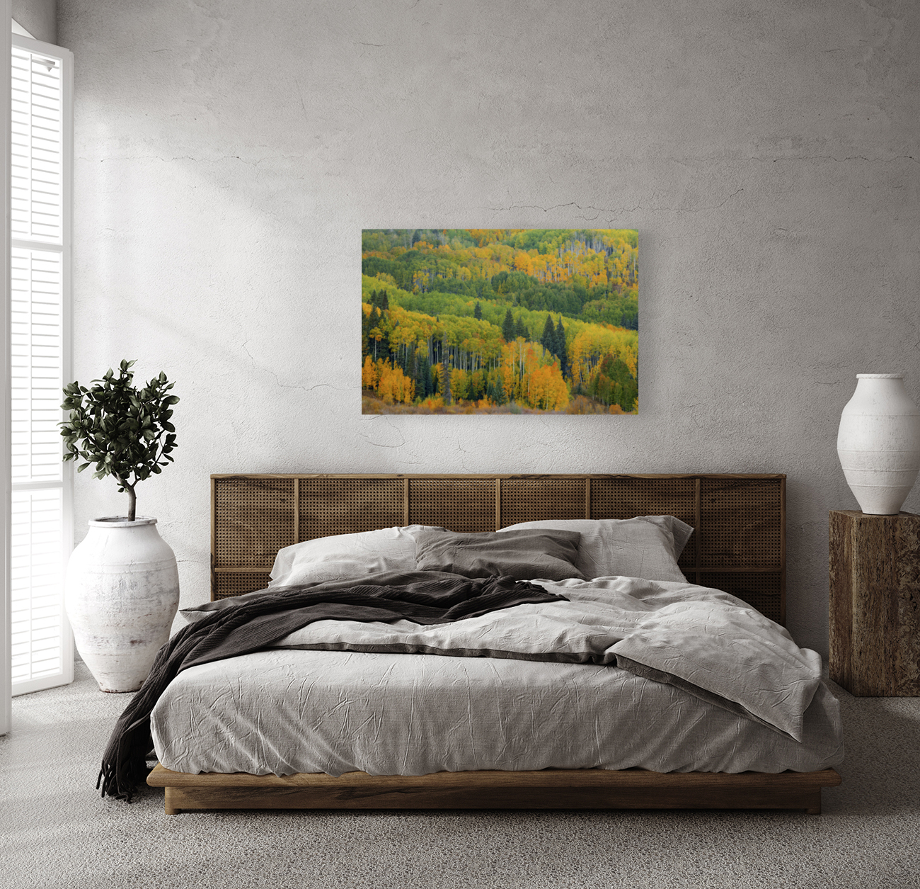 AUTUMN TRANSITION Reproduction