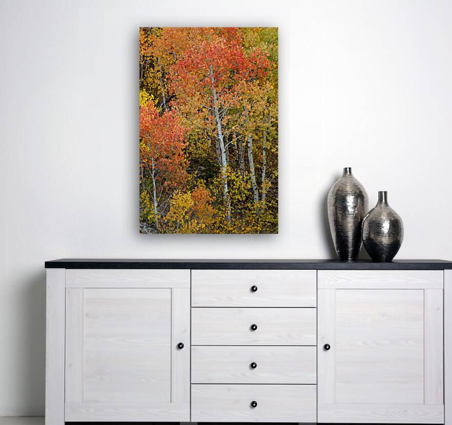 Red Orange Tree Reproduction