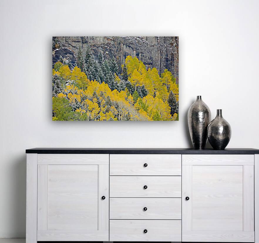 When Seasons Collide Reproduction
