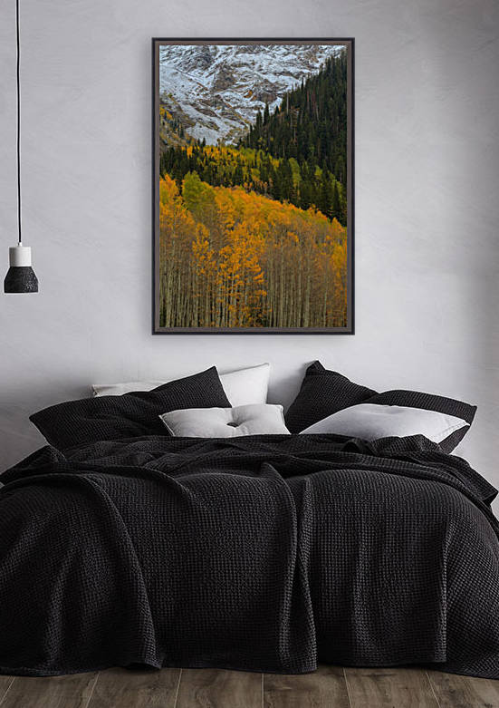 ASPEN  RISE Reproduction