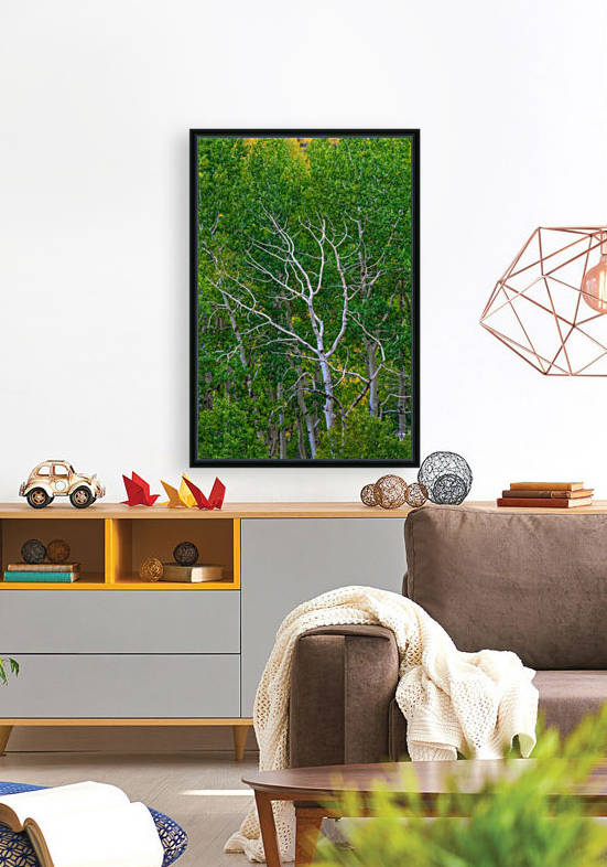 BRANCHING OUT Reproduction