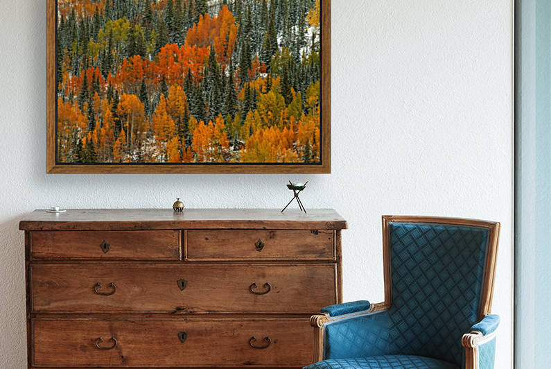 ORANGE FIRE Reproduction