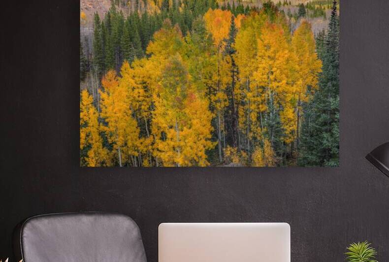 Autumn Vision Reproduction