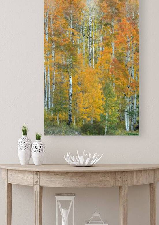 Dalmatian Autumn by Bill Sherrell