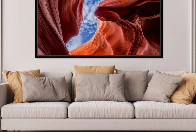 The Color Within Reproduction