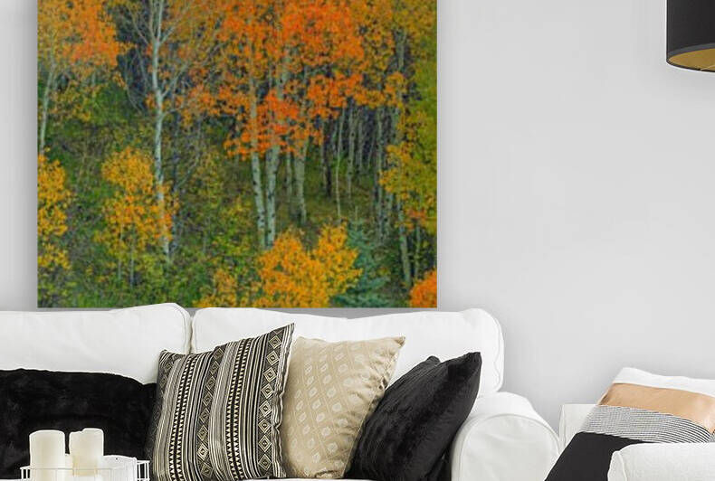ABOUNDING COLOR  by Bill Sherrell
