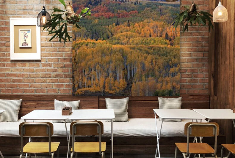THE ABOUNDING COLORS OF AUTUMN  by Bill Sherrell