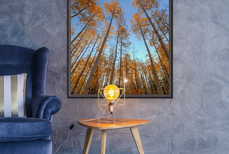 AUTUMN STARSHINE by Bill Sherrell