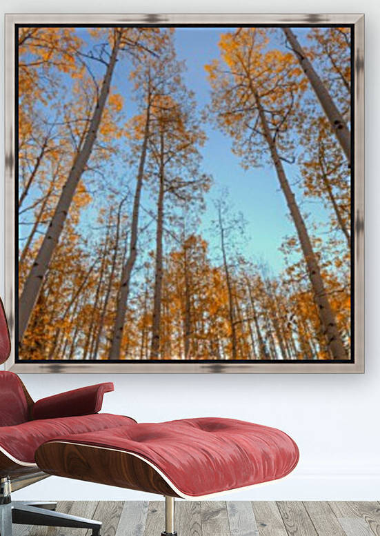 AUTUMN STARSHINE VERTICAL by Bill Sherrell