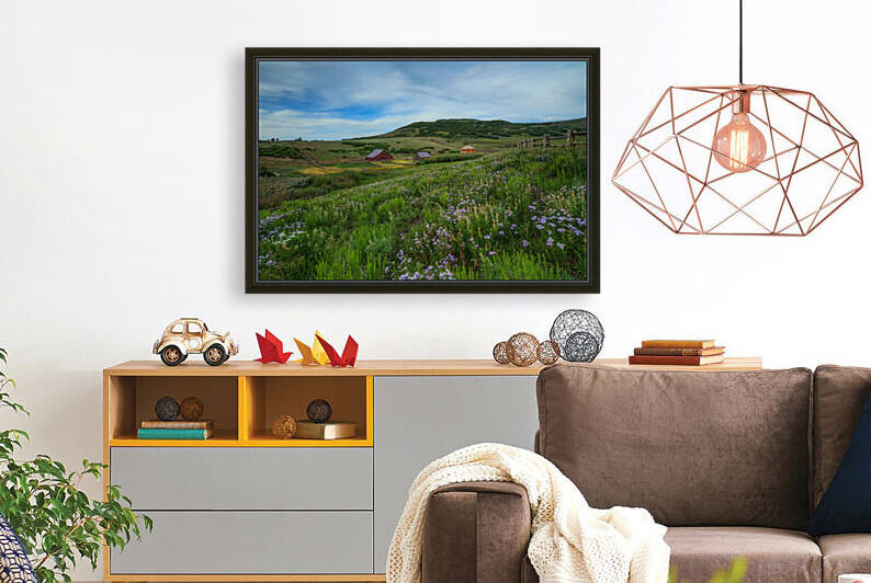 WILDFLOWERS AT THE TRUE GRIT RANCH by Bill Sherrell