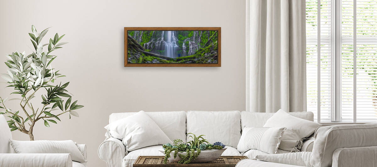 THE EUPHORIA EXPERIENCE WIDE VIEW by Bill Sherrell