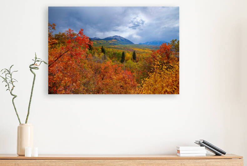 AUTUMN AT KEBLER PASS by Bill Sherrell
