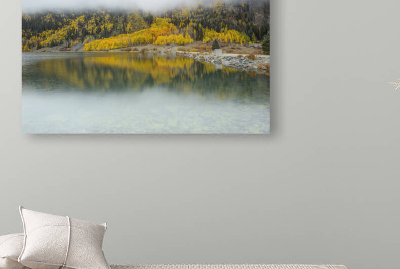 DREAMY AUTUMN REFLECTION Reproduction