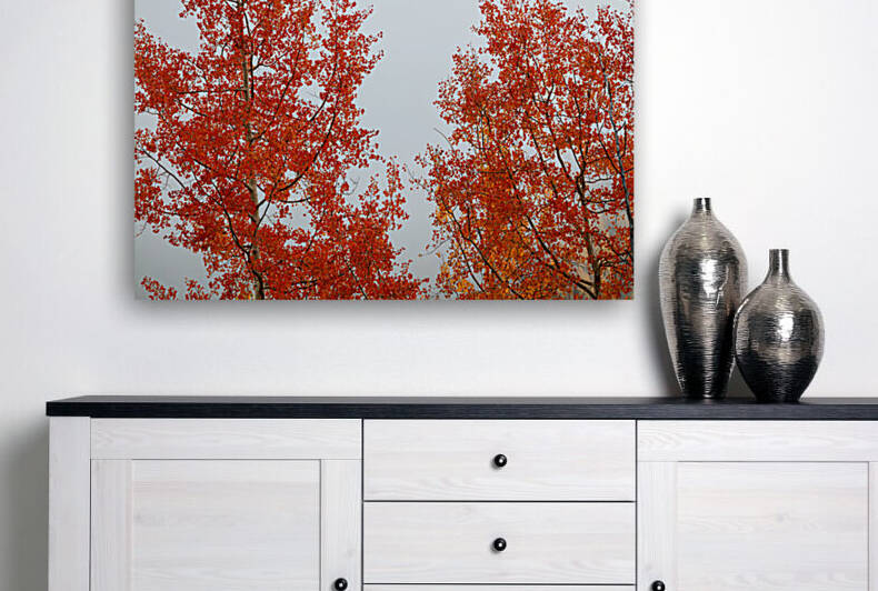 RED ORANGE TRANSFORMATION 2 Reproduction
