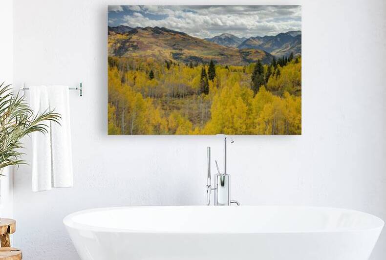 McClure Pass 1 Reproduction