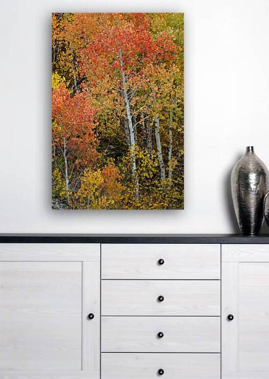 Red Orange Tree Reproduction