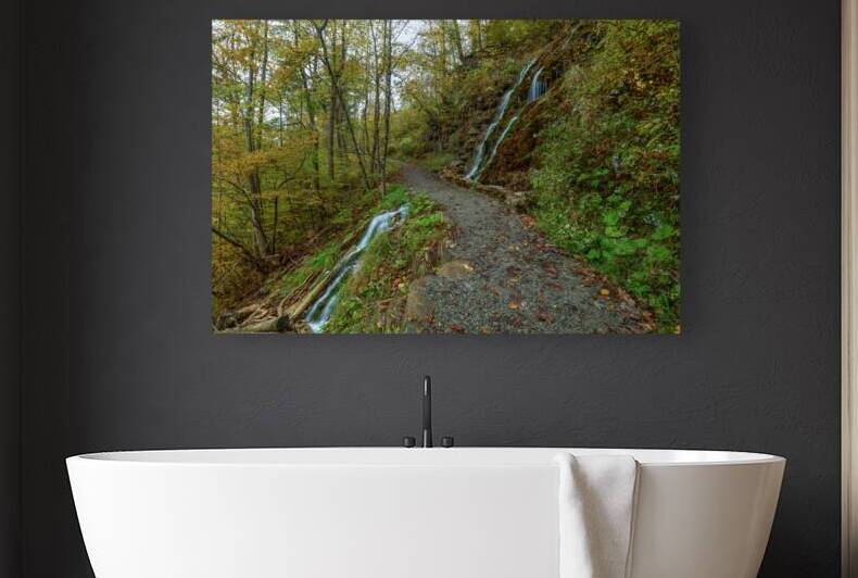 Passing Between Waterfalls Reproduction
