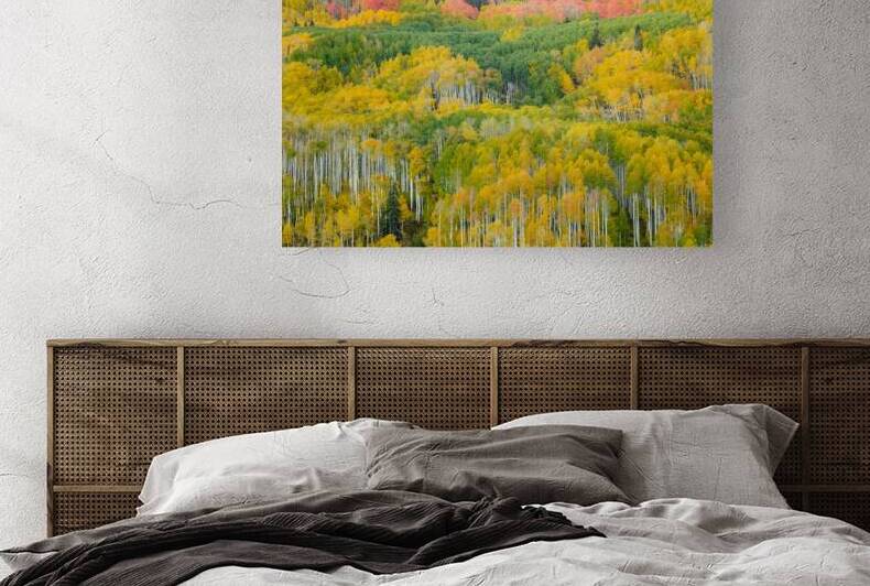 Autumn Rapture by Bill Sherrell