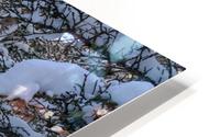 SNOWBOUND HD Metal print