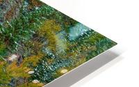COLOR TRANSITION HD Metal print