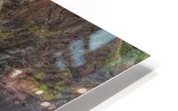 TALL FALLS HD Metal print