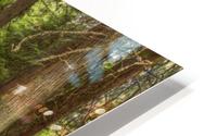 WOODSY HD Metal print
