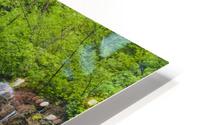 FLOWING GRACE HD Metal print