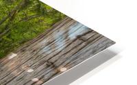 WATER PATH HD Metal print
