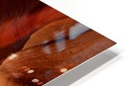 Lightbeam HD Metal print
