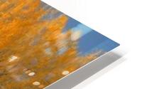 AUTUMN BONFIRE HD Metal print