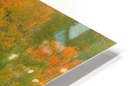 ABOUNDING COLOR  HD Metal print