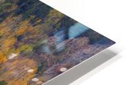 AUTUMN ROWS  HD Metal print