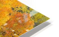 AUTUMN SERENITY  HD Metal print