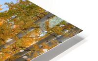 PATHWAY TO WONDER HD Metal print