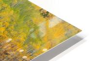 TRANSITION  HD Metal print