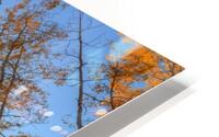 AUTUMN STARSHINE HD Metal print