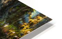 RIBBON FALLS HD Metal print