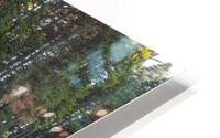 SILVER FALLS OREGON HD Metal print