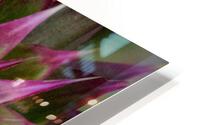 STARBURST HD Metal print