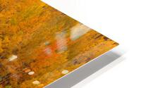 AUTUMN CONTRAST HD Metal print