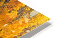 AUTUMN HIGHLIGHTS HD Metal print