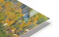 AUTUMN TRANSITION HD Metal print
