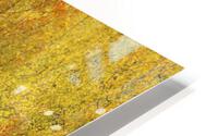 ORANGE FIRE HD Metal print